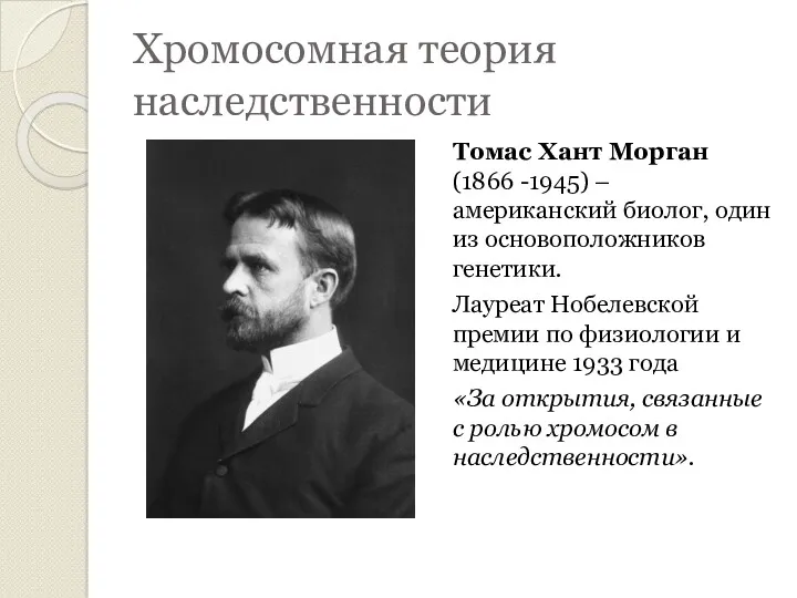 Хромосомная теория наследственности Томас Хант Морган (1866 -1945) – американский