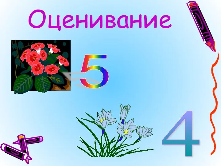 Оценивание 5 4