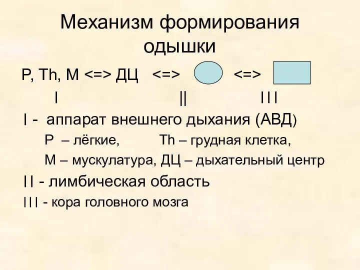 Механизм формирования одышки P, Th, M ДЦ । || ।।।