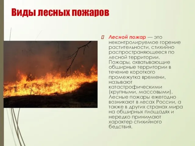 Виды лесных пожаров Лесной пожар — это неконтролируемое горение растительности,