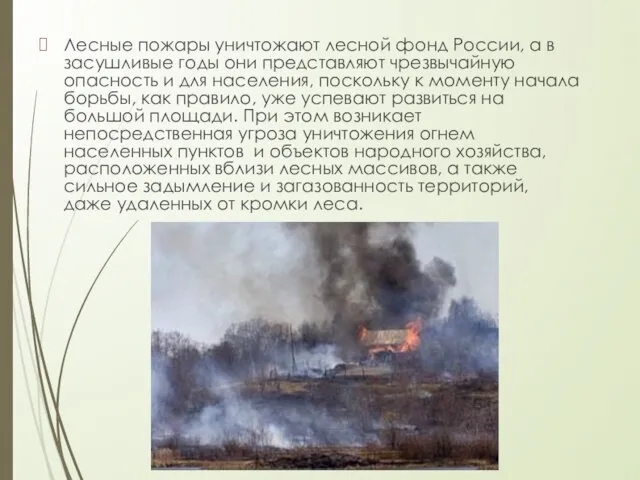 Лесные пожары уничтожают лесной фонд России, а в засушливые годы