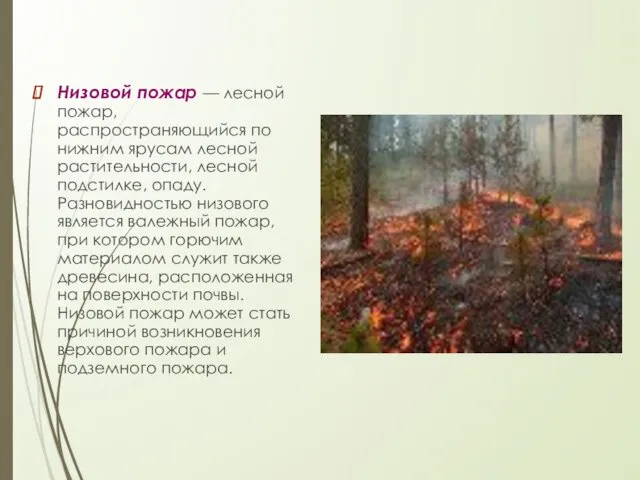 Низовой пожар — лесной пожар, распространяющийся по нижним ярусам лесной