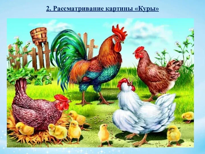 2. Рассматривание картины «Куры»