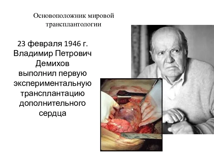 23 февраля 1946 г. Владимир Петрович Демихов выполнил первую экспериментальную трансплантацию дополнительного сердца Основоположник мировой трансплантологии