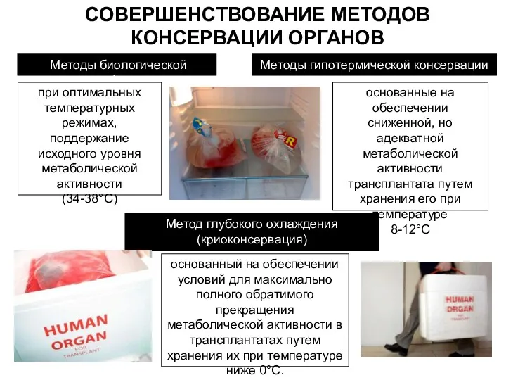 СОВЕРШЕНСТВОВАНИЕ МЕТОДОВ КОНСЕРВАЦИИ ОРГАНОВ Методы биологической перфузии при оптимальных температурных