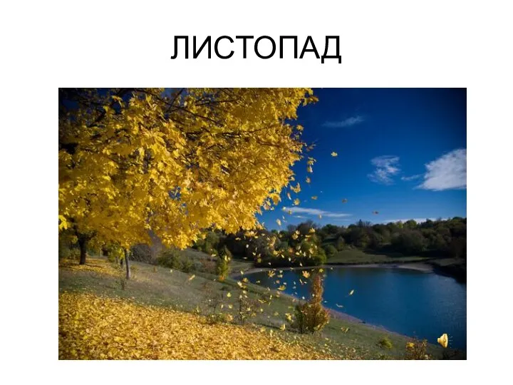 ЛИСТОПАД