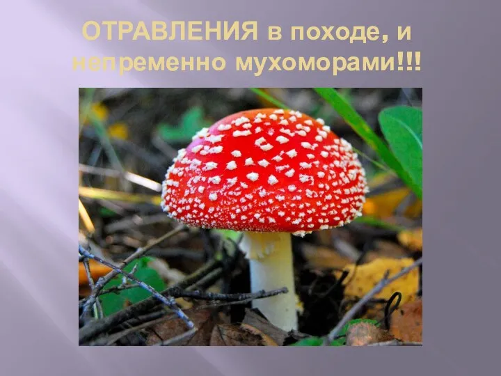 ОТРАВЛЕНИЯ в походе, и непременно мухоморами!!!