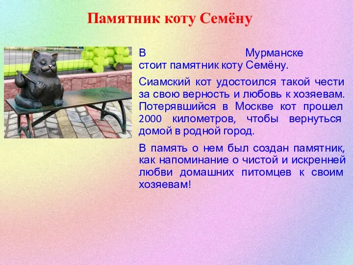 Памятник коту Семёну В Мурманске стоит памятник коту Семёну. Сиамский