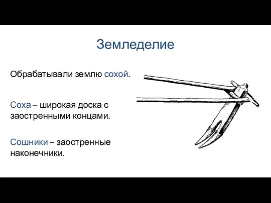 Земледелие Соха – широкая доска с заостренными концами. Обрабатывали землю сохой. Сошники – заостренные наконечники.