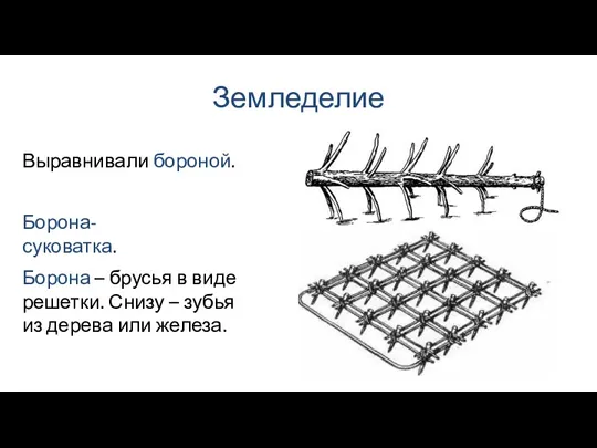 Земледелие Борона – брусья в виде решетки. Снизу – зубья