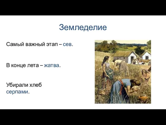 Земледелие В конце лета – жатва. Самый важный этап – сев. Убирали хлеб серпами.