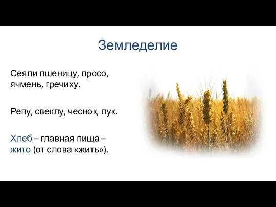 Земледелие Хлеб – главная пища – жито (от слова «жить»).
