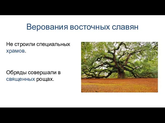 Верования восточных славян Обряды совершали в священных рощах. Не строили специальных храмов.