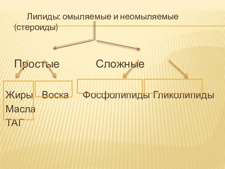 Липиды: омыляемые и неомыляемые (стероиды) Простые Сложные Жиры Воска Фосфолипиды Гликолипиды Масла ТАГ