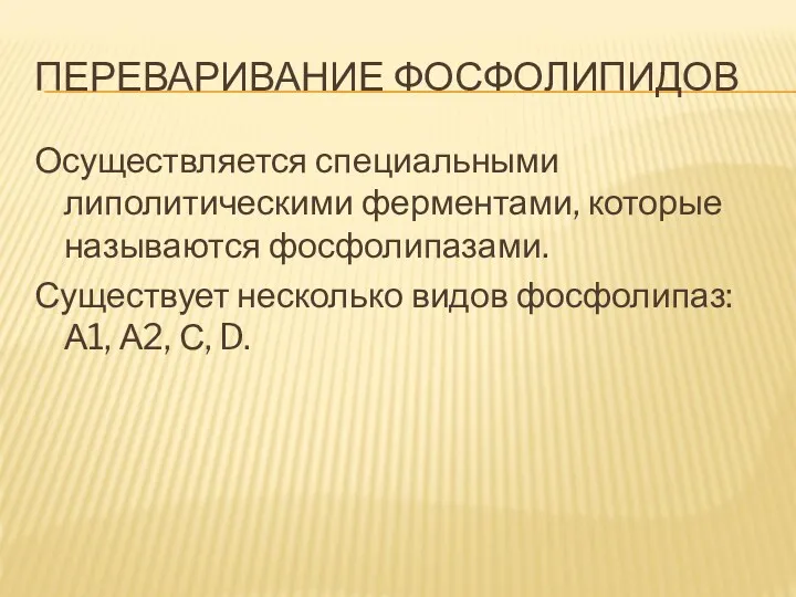 ПЕРЕВАРИВАНИЕ ФОСФОЛИПИДОВ Осуществляется специальными липолитическими ферментами, которые называются фосфолипазами. Существует