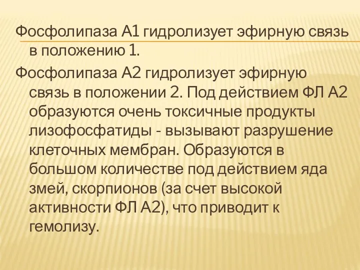 Фосфолипаза А1 гидролизует эфирную связь в положению 1. Фосфолипаза А2