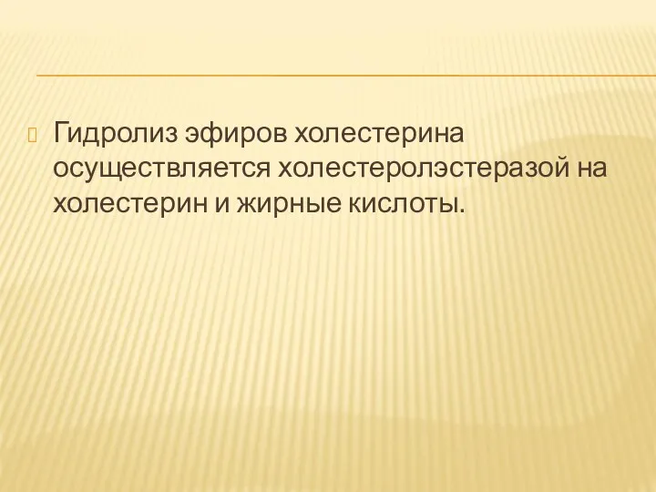 Гидролиз эфиров холестерина осуществляется холестеролэстеразой на холестерин и жирные кислоты.