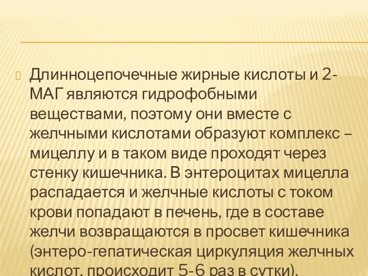 Длинноцепочечные жирные кислоты и 2-МАГ являются гидрофобными веществами, поэтому они