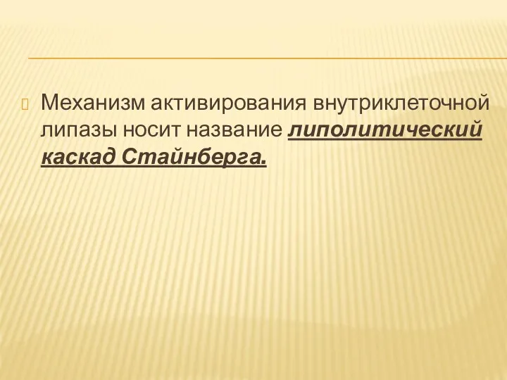 Механизм активирования внутриклеточной липазы носит название липолитический каскад Стайнберга.