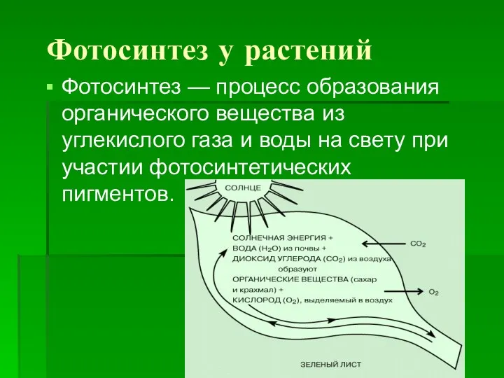 Фотосинтез у растений Фотосинтез — процесс образования органического вещества из