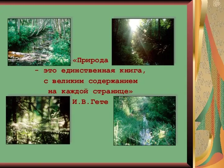 «Природа - это единственная книга, с великим содержанием на каждой странице» И.В.Гете