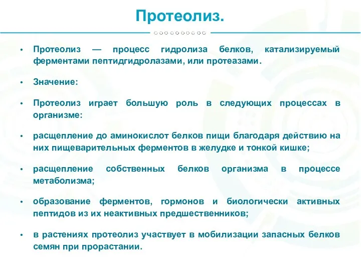 Протеолиз. Протеолиз — процесс гидролиза белков, катализируемый ферментами пептидгидролазами, или