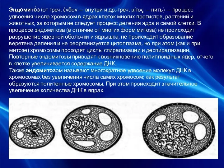 Эндомито́з (от греч. ένδον — внутри и др.-греч. μίτος —