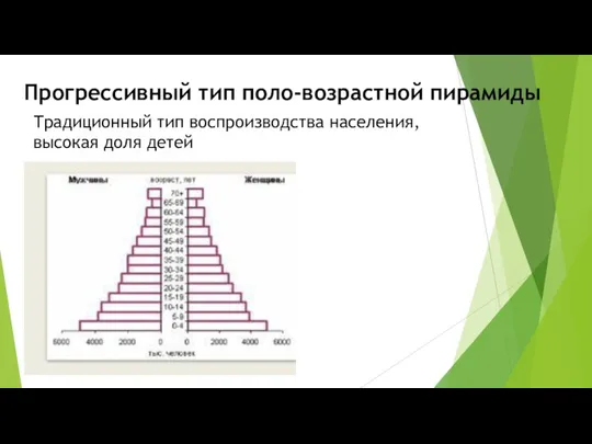 Прогрессивный тип поло-возрастной пирамиды Традиционный тип воспроизводства населения, высокая доля детей