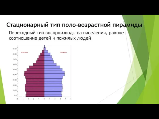 Стационарный тип поло-возрастной пирамиды Переходный тип воспроизводства населения, равное соотношение детей и пожилых людей