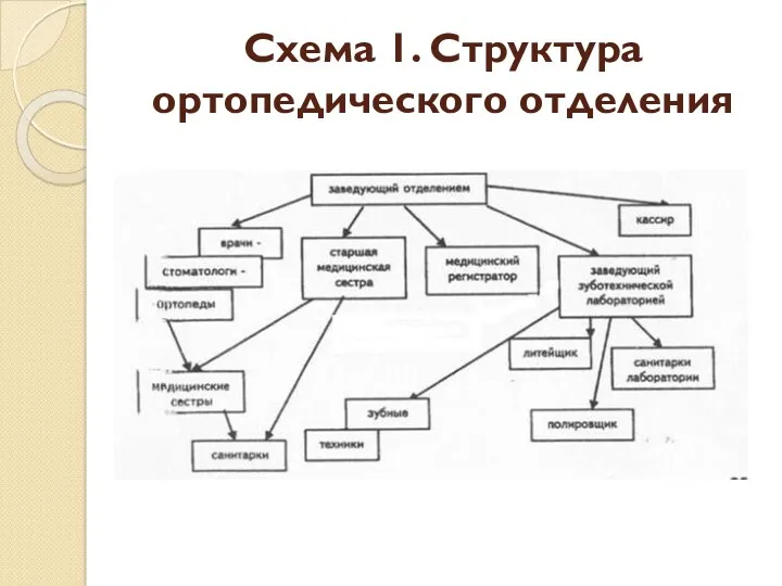 Схема 1. Структура ортопедического отделения