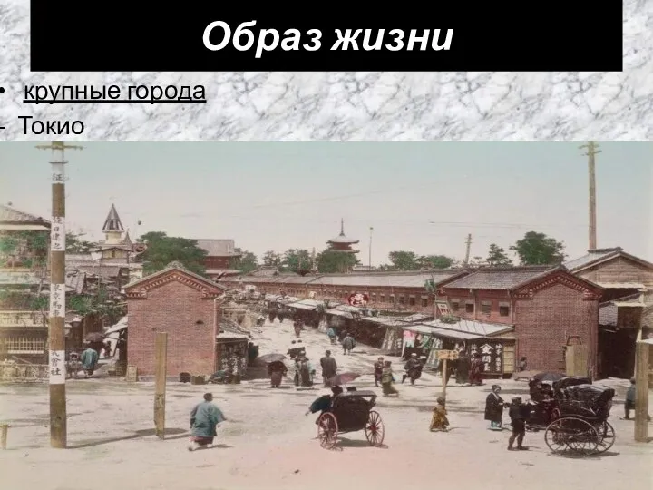 Образ жизни крупные города Токио