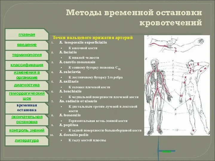 литература контроль знаний окончательная остановка временная остановка геморрагический шок диагностика изменения в организме