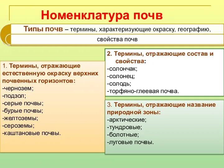 Номенклатура почв 2. Термины, отражающие состав и свойства: -солончак; -солонец;