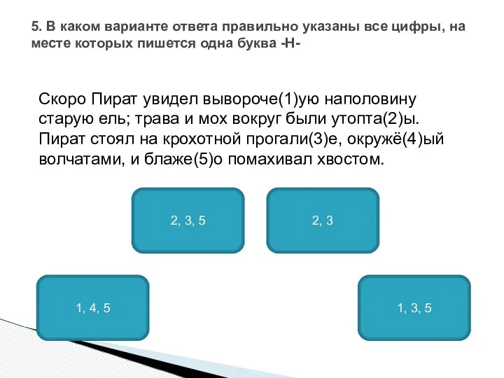 Скоро Пират увидел вывороче(1)ую наполовину старую ель; трава и мох