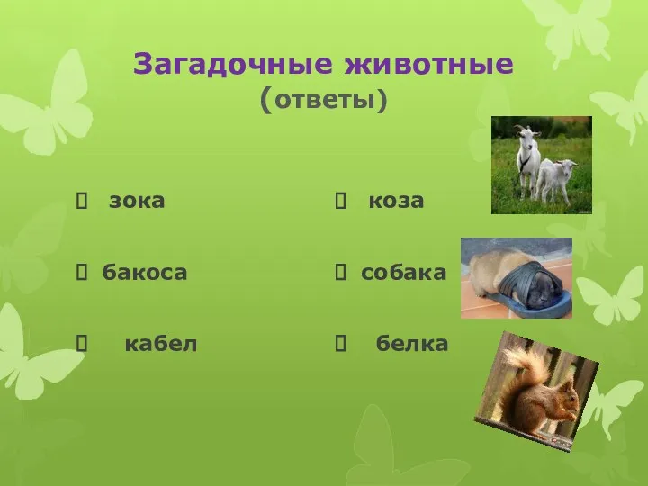 Загадочные животные (ответы) зока бакоса кабел коза собака белка