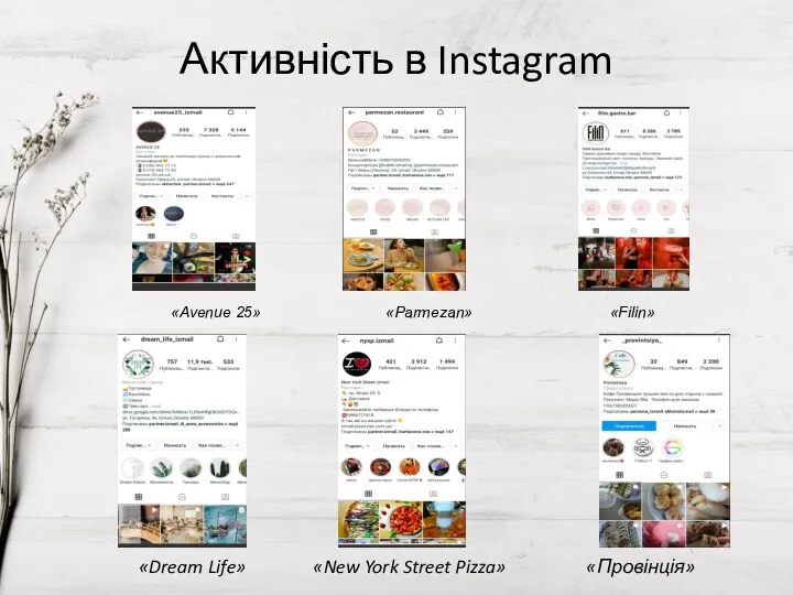 Активність в Instagram «Avenue 25» «Parmezan» «Filin» «Dream Life» «New