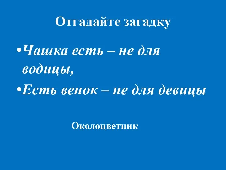 Отгадайте загадку Чашка есть – не для водицы, Есть венок – не для девицы Околоцветник