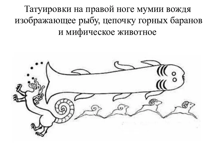 Татуировки на правой ноге мумии вождя изображающее рыбу, цепочку горных баранов и мифическое животное