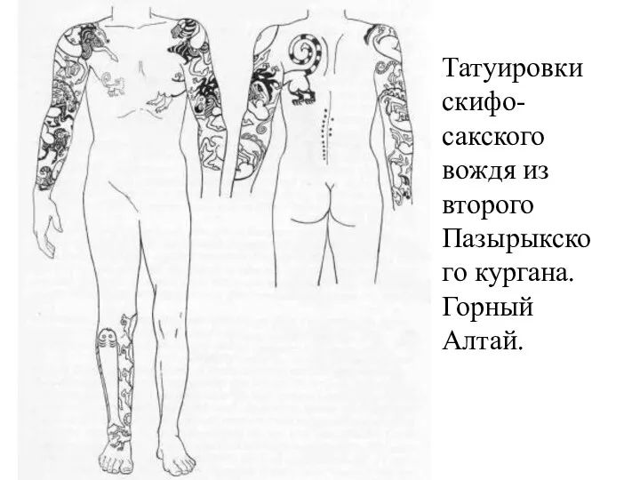 Татуировки скифо-сакского вождя из второго Пазырыкского кургана. Горный Алтай.