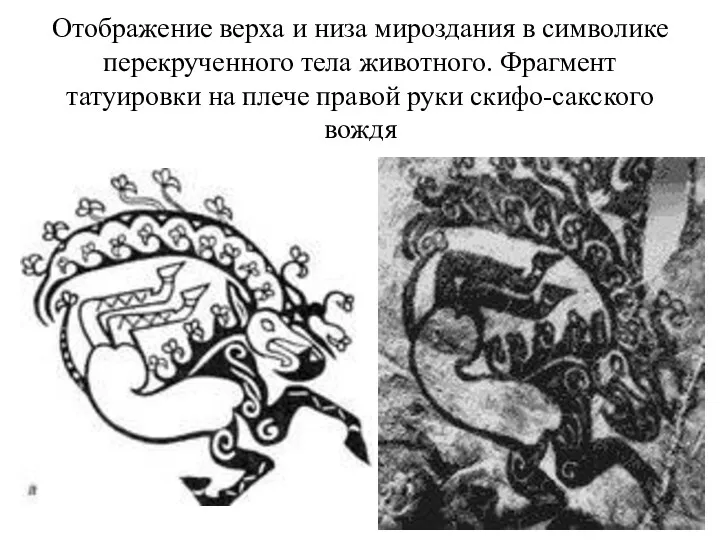 Отображение верха и низа мироздания в символике перекрученного тела животного.