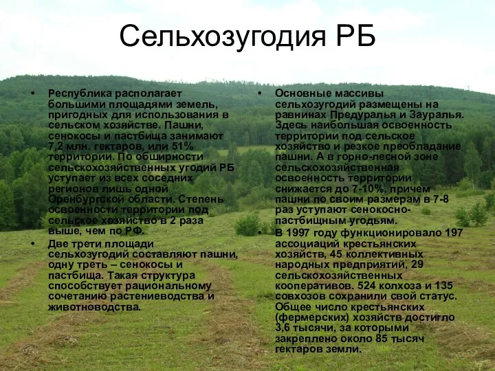Сельхозугодия РБ Республика располагает большими площадями земель, пригодных для использования в сельском хозяйстве.
