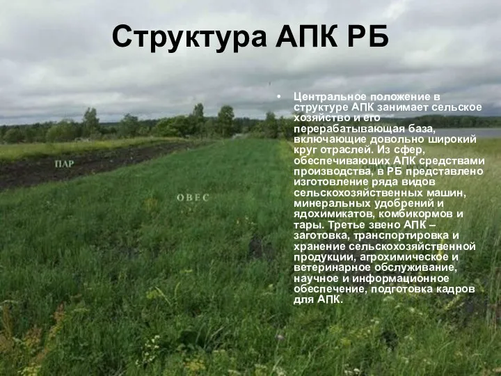 Структура АПК РБ Центральное положение в структуре АПК занимает сельское хозяйство и его