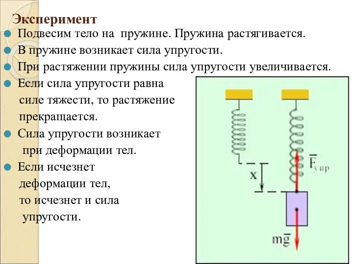 Эксперимент Подвесим тело на пружине. Пружина растягивается. В пружине возникает сила упругости. При