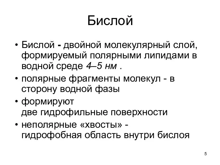 Бислой Бислой - двойной молекулярный слой, формируемый полярными липидами в