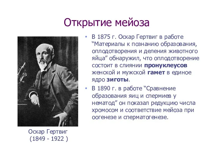 Открытие мейоза В 1875 г. Оскар Гертвиг в работе “Материалы