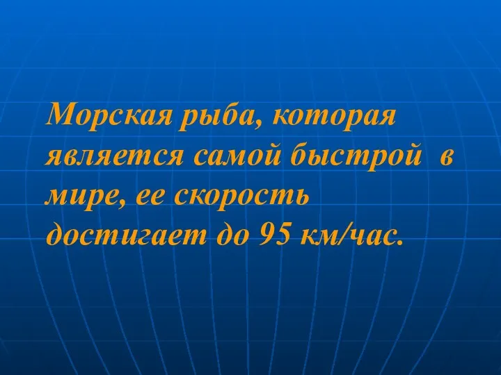 Морская рыба, которая является самой быстрой в мире, ее скорость достигает до 95 км/час.