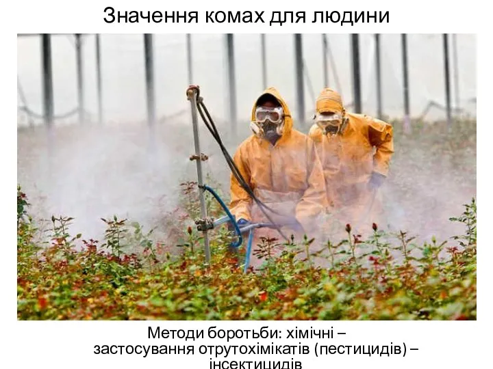 Значення комах для людини Методи боротьби: хімічні – застосування отрутохімікатів (пестицидів) – інсектицидів