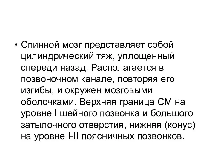 Спинной мозг представляет собой цилиндрический тяж, уплощенный спереди назад. Располагается