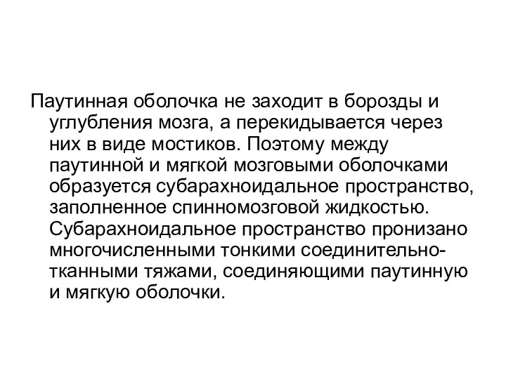 Паутинная оболочка не заходит в борозды и углубления мозга, а