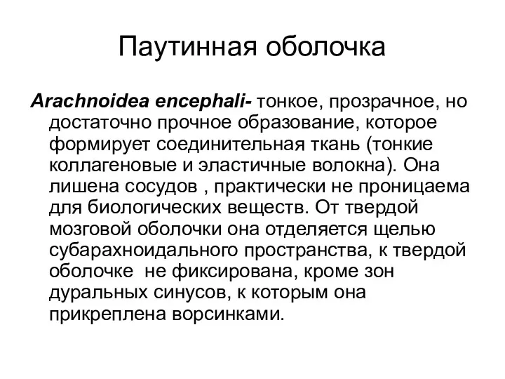 Паутинная оболочка Arachnoidea encephali- тонкое, прозрачное, но достаточно прочное образование,